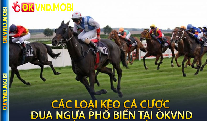 Các Loại Kèo Cá Cược Đua Ngựa Phổ Biến Tại OKVND
