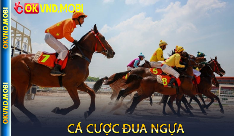 Cá cược Đua ngựa